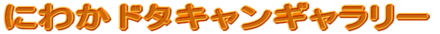 �h�^�L�����M�������[