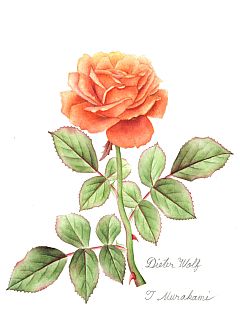 Dieter Wolf