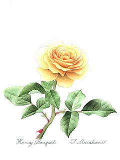Honey Bouquet