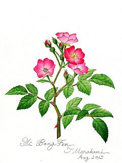 Yi Bang Fen